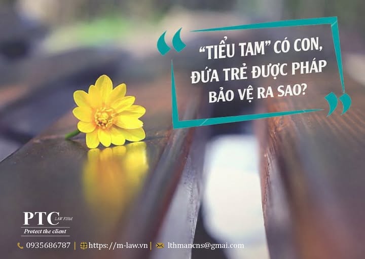 Hôn nhân và gia đình